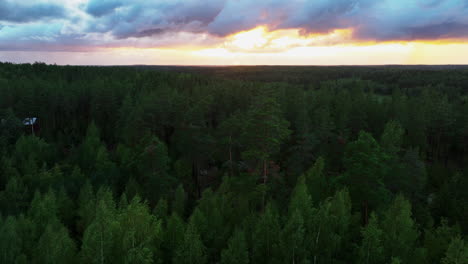 Aerial-view-rising-over-endless-woods,-toward-a-stunning-sunset-sky-with-clouds