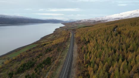 East-coast-of-Iceland-during-the-autumn-surrounded-by-trees-and-a-lake,-aerial