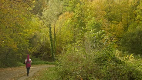 Female-musician-walks-briskly-down-leafy-path-autumn-woodland-scenery