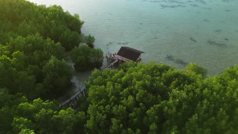 Aerial-view-over-mangrove-forest-and-wooden-bungalow-during-bright-sunset