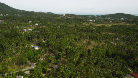 Small-village-and-magical-tropical-landscape-of-palm-tree-forest,-aerial-view