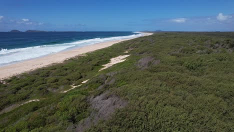 Üppige-Grüne-Vegetation-In-Der-Nähe-Der-Sanddünen-Von-Mungo-Beach-In-New-South-Wales,-Australien