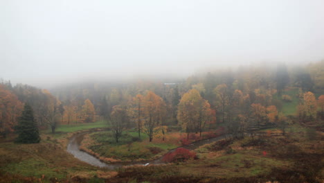 Der-Nebel-Zieht-über-Den-Wald