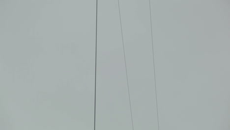 Cruzando-Cables-Eléctricos-En-La-Ciudad.