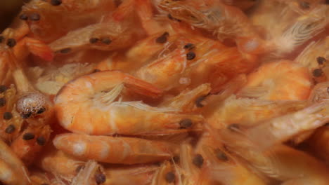 Time-lapse-Shrimp-are-simmered-in-a-saucepan