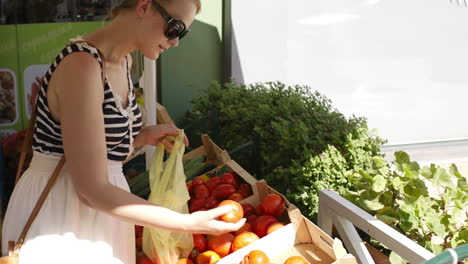 Young-woman-shopping-for-fresh-vegetables