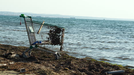 Abandoned-shopping-trolley-on-the-beach