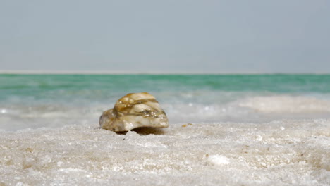 Nature-scene-with-Dead-Sea-and-its-salt-beach