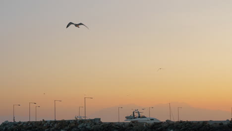 Scene-with-sea-quay-and-seagull-flying-in-the-sky-at-sunset