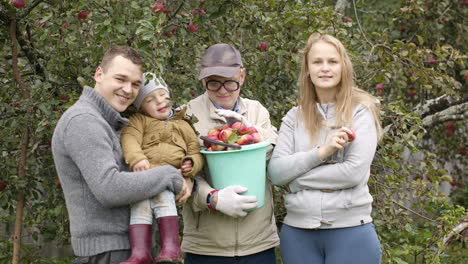 Familie-Sammelt-Äpfel-Im-Obstgarten