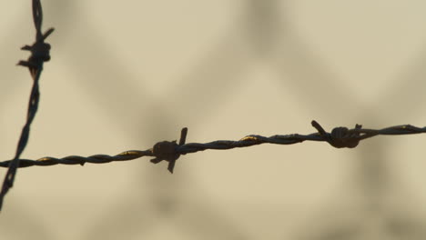 Barbed-wire-no-entry
