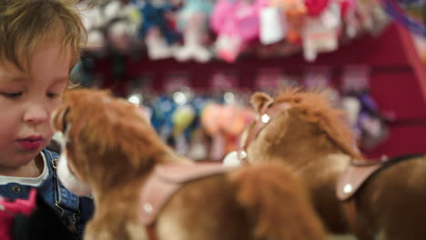 Little-boy-looking-at-the-toy-horses-in-shop