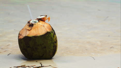 Kokosnuss-Am-Meer-Mit-Weiblicher-Hand,-Die-Dort-Einen-Strohhalm-Hinlegt