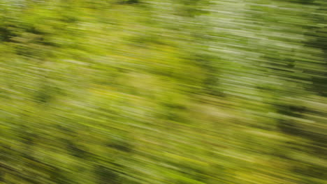 View-of-passing-green-trees-from-a-high-speed-train