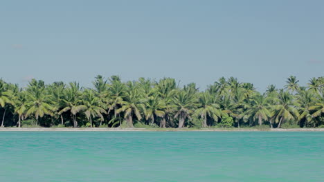 Sea-shore-with-palms-and-clear-blue-water