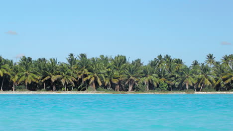 Tropische-Szene-Mit-Palmen-Und-Blauem-Meer