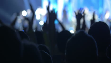People-enjoying-the-concert