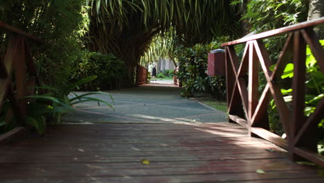 Crossing-wooden-bridge-among-the-palm-branches