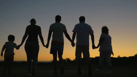 Big-friendly-family-walking-outdoor-at-sunset