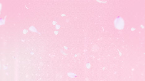 Pink-Petals-Floating