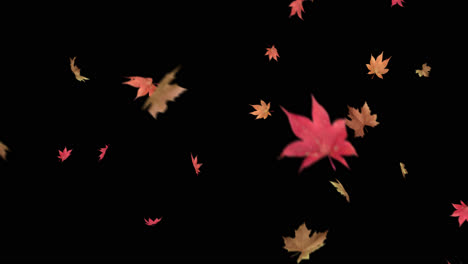 Autumn-Leaves