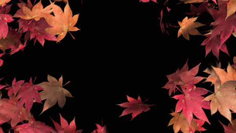 Autumn-Leaves