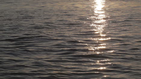 Water-with-sun-reflection