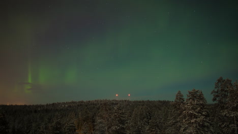 Timelapse-of-northern-lights-over-the-woods