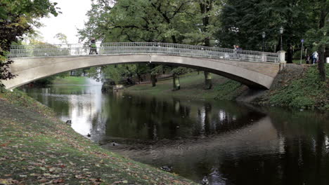 Bridge-in-the-city-park