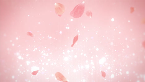 Pink-Petals-Floating