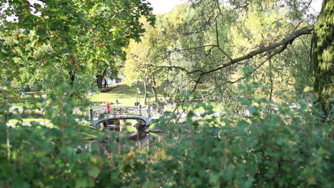 Bridge-in-the-city-park