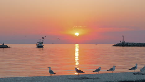 Marine-scene-with-boat-and-seagulls-at-sunset