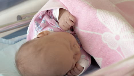 Eine-Nahaufnahme-Eines-Neugeborenen,-Das-Unter-Der-Rosa-Decke-Schläft