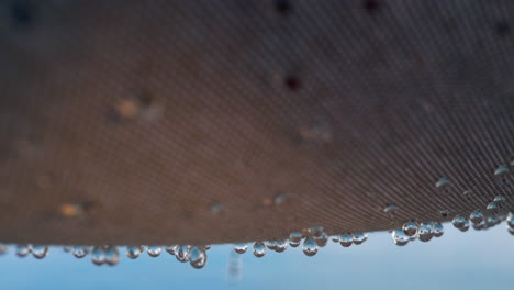Raindrops-falling-from-textile-shed-outdoor