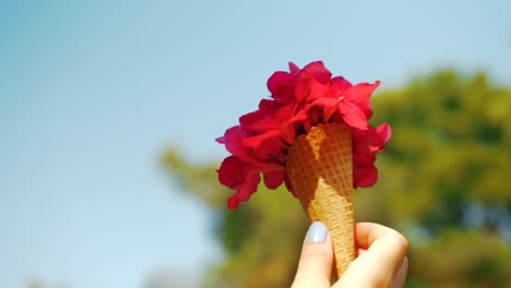 Red-summer-bouquet-in-waffle-cone