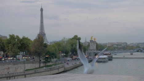 Paisaje-Urbano-De-París-Con-La-Torre-Eiffel-Frente-Al-Mar-Y-Una-Gaviota-Volando.