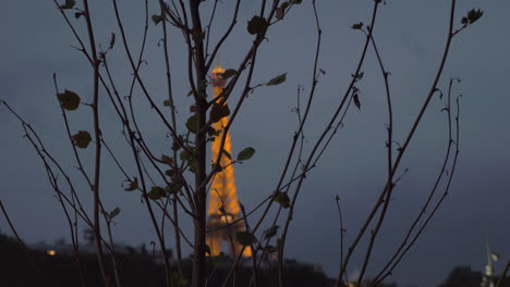 árbol-De-Otoño-Desnudo-Y-Torre-Eiffel-En-París-De-Noche