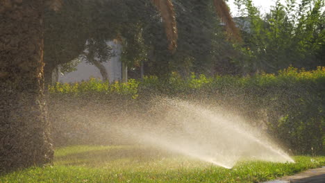Automatische-Sprinkler-Bewässern-Grüne-Rasenflächen