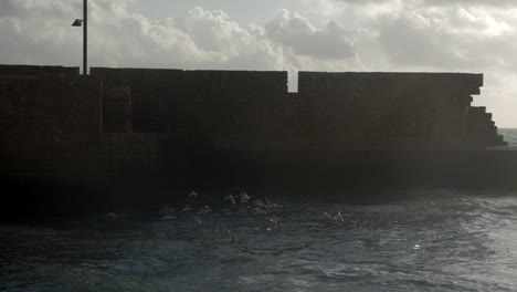 Waterscape-with-sea-gulls-wavy-sea-and-ancient-city-wall