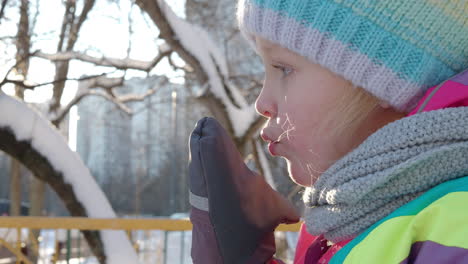 Winterporträt-Eines-Kleinen-Mädchens-Im-Freien