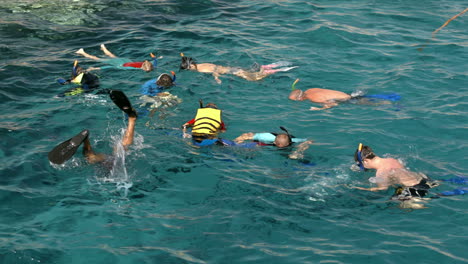 Gente-Nadando-En-El-Mar