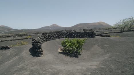 Panorama-Szene-Auf-Lanzarote-Mit-Den-Weinbergen-Von-La-Geria-Auf-Den-Kanarischen-Inseln