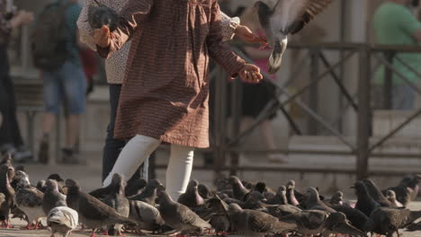 Kids-hand-feeding-the-pigeons