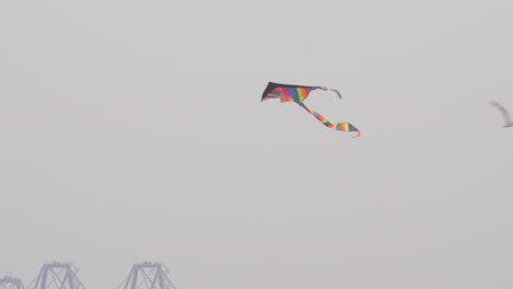 Rainbow-kite-flying-in-strong-wind