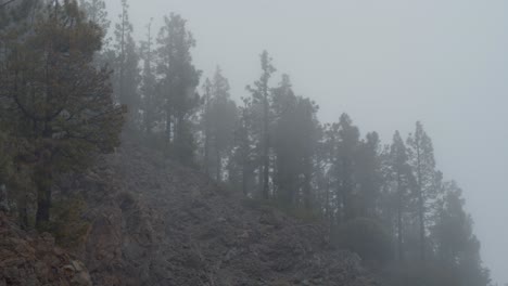 Niebla-De-Nubes-Que-Cubre-Bosques-En-Las-Montañas