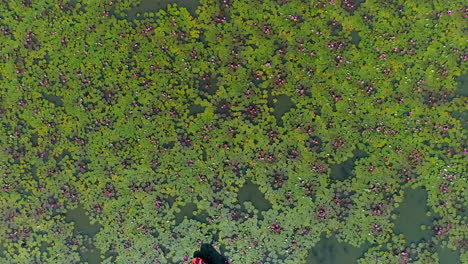 Hauptinhalt---Roter-Lotussee