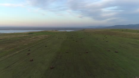 Aerial-View-of-Autumn-Steppe