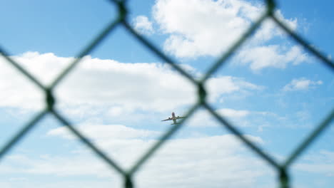 View-of-the-plane-through-the-mesh