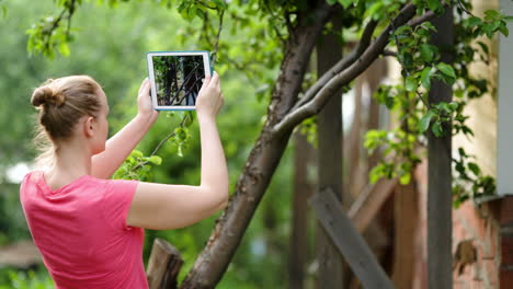 Young-woman-taking-pictures-of-nature-scenes-with-her-pad