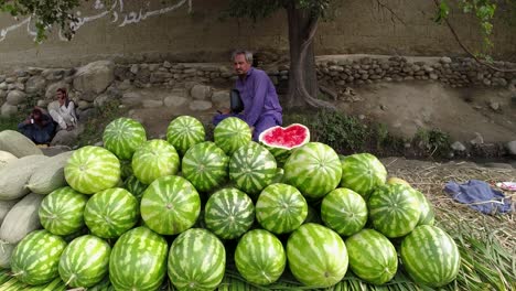 Wassermelonenladen-Auf-Dem-Land